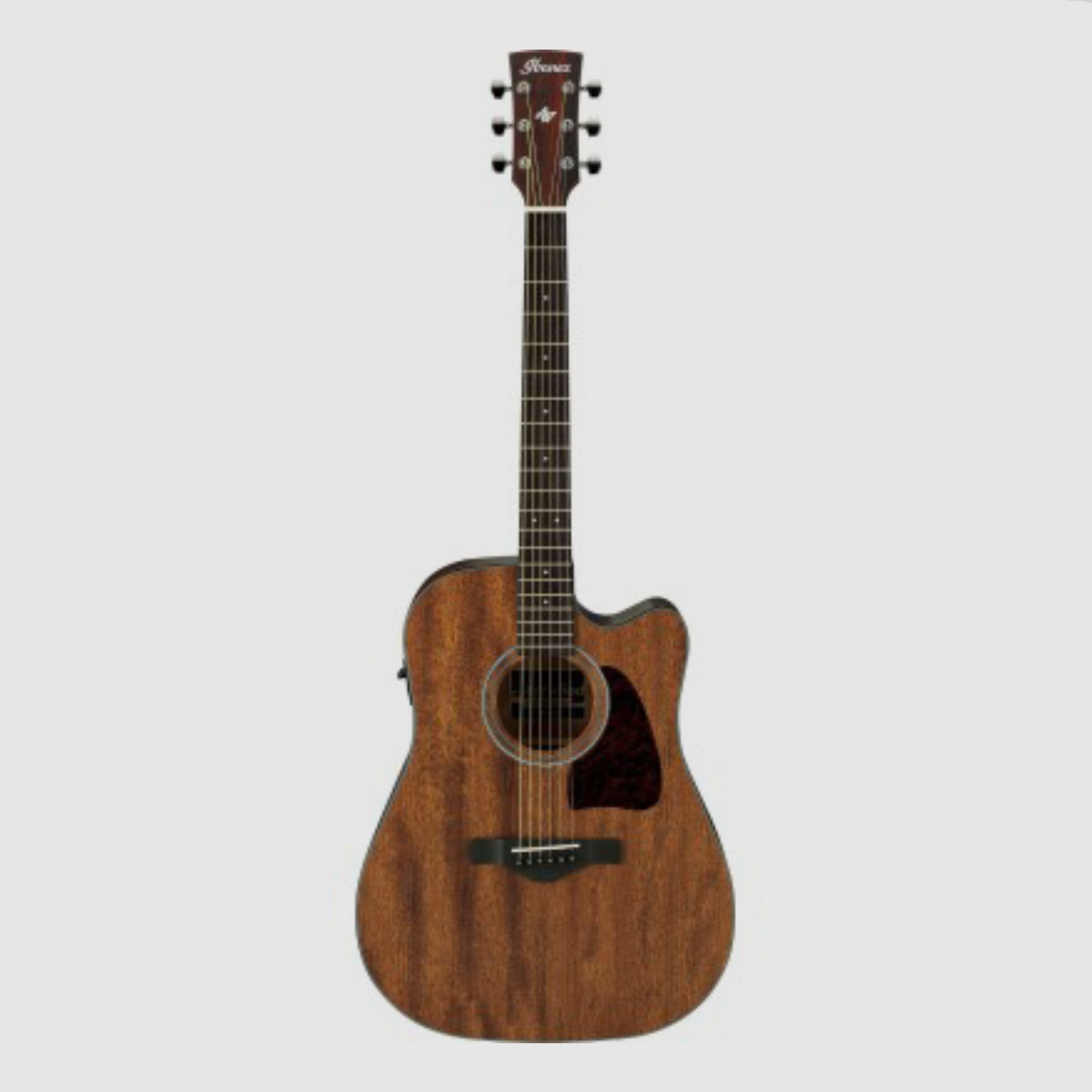 Ibanez AW54CE-OPN